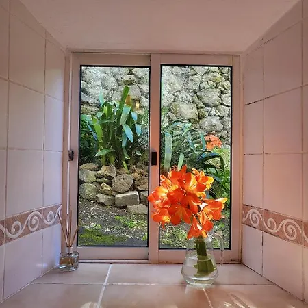 Casa Anjos Holiday home Cedros