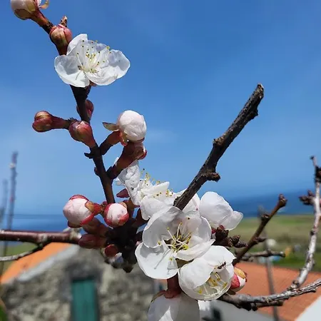 Casa Anjos Holiday home